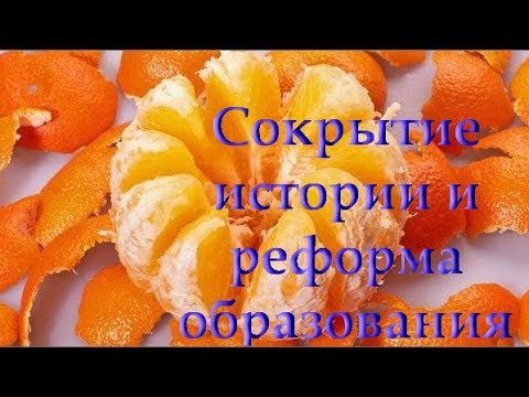 Александр Колтыпин "К вопросу о реформе образования в области естествознания"