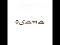 Sam Shalabi - Osama (2003)