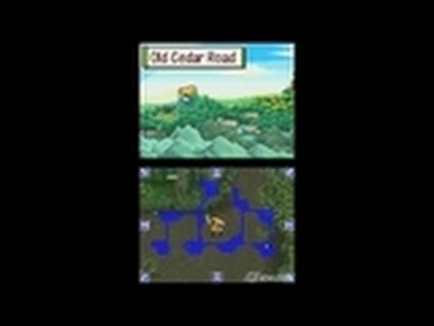 Mystery Dungeon : Shiren the Wanderer Wii