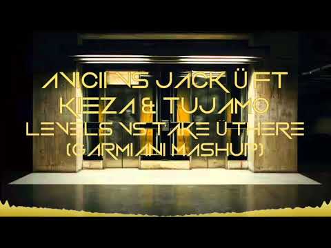 Levels Vs Take Ü There (Garmiani Tomorrowland 2018 Mashup) [Bazzedropz Remake]