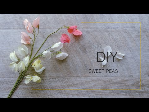 How to make SWEET PEAS from crepe paper