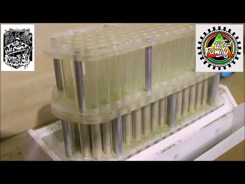 Me Love Di Ganja by Deewaï Dee, remix by Zion Red Dub Exclusive Jungle Remix