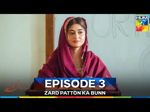 Zard Patton Ka Bunn Episode 3