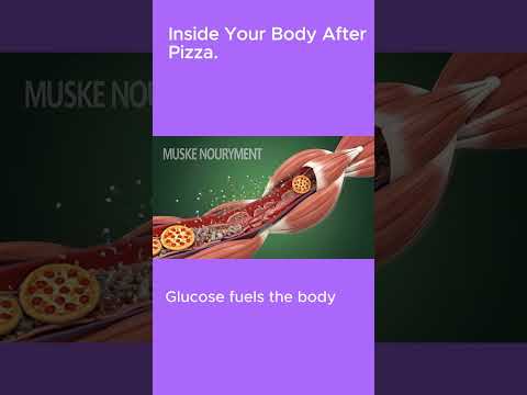 What Happens Inside Your Body After Eating Pizza? | 3D Health Breakdown #facts #applehealth #biology