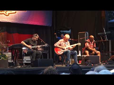 Elvin Bishop's Big Fun Trio - I'm Old School