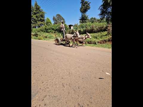 No Fixed Route – Across Kenya day 10/16 - Der härteste Tag auf dem Rad mit Happy end