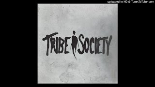 Tribe Society Accords