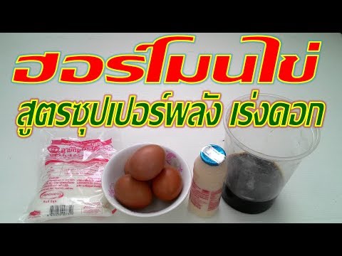 พวก enlarge อวัยวะเพศของคุณ ซื้อ Exciter สำหรับผู้หญิงในกรุงมอสโก
