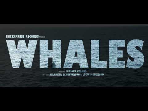 Furious Freaks - Whales (Official Music Video)