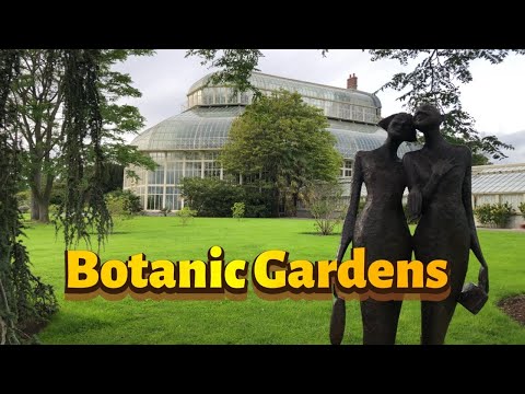 National Botanic Gardens Dublin|Dash Cam Ireland|4k Dublin walk tour |Travel with Atiq