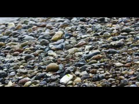 Wilfried Hofmann - Wissen