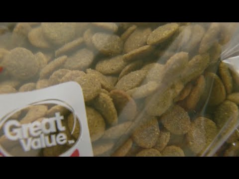 Dog food has 'alarming' levels of contaminants, according to new report