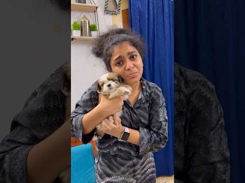 Varshini ku surprise puppy ❤️ #swv #tamil #ishqyouall #trending #youtube #comedy
