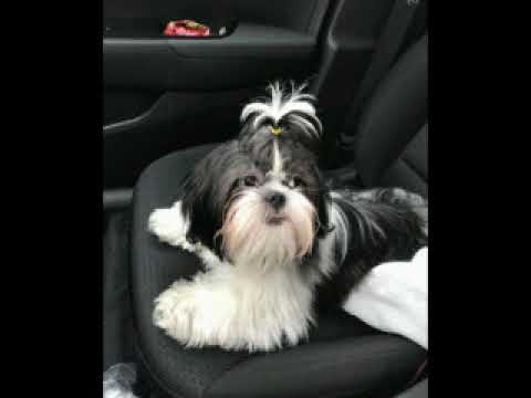 Música para Cardio escaladora y hi low