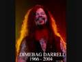 Caged in a rage (rare recording) Dimebag Darrell ...