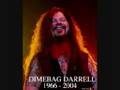 Caged in a rage (rare recording) Dimebag Darrell ...