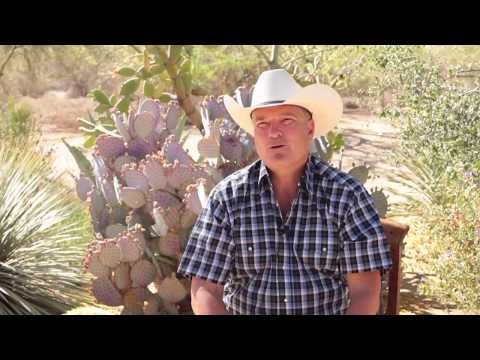 Big G Ranch - Ethical Crowd Butchery in Arizona