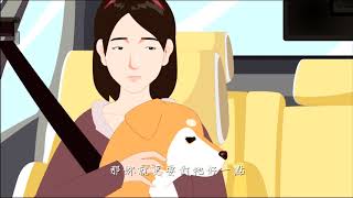 Phim hoạt hình hay nhất, Phim hoạt hình