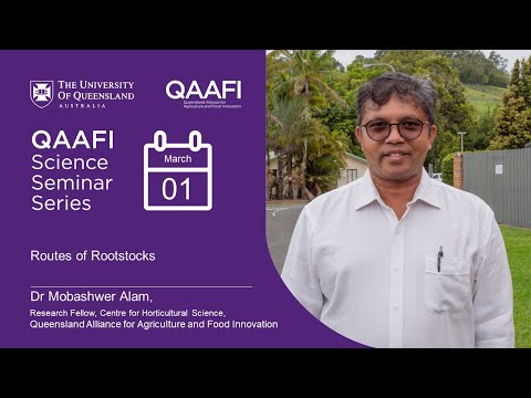 Routes of rootstocks