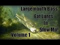 Bass Eating Lures in Slow Motion!! Volume 1 