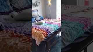 upstairs of 8425 Hillside Ave