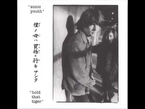 Sonic Youth - Hold that tiger (full)