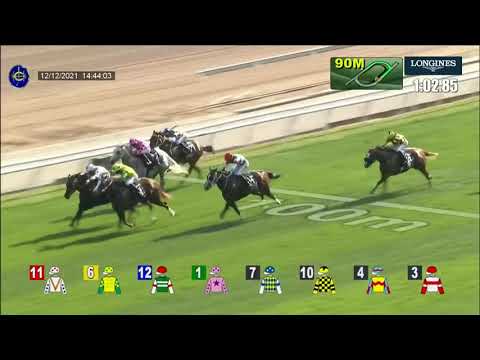 The Hong Kong Sprint - Skyfield