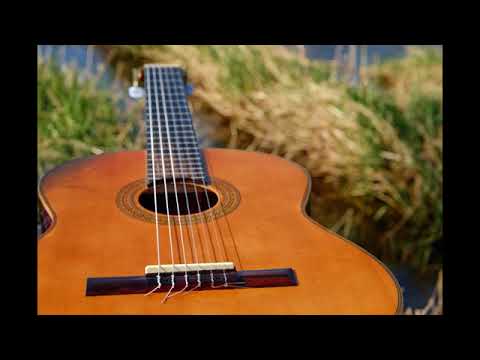 A foolish game   Snow flake (feet Admiral)