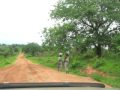 Kris Chali Chabumpelenge Mov