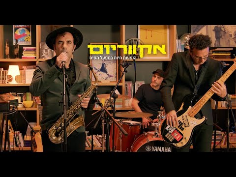 אקווריום - כנסיית השכל (הופעה חיה)