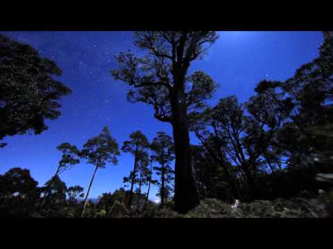 Iwayo, Gosh & Todd Haze - Starting Again Ft. V. Loba (Milan Nikolovski Remix)