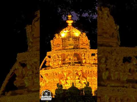 🙏 Divine vibes from the holy hills of Tirumala with a blessings of Lord Venkateshwara swamy