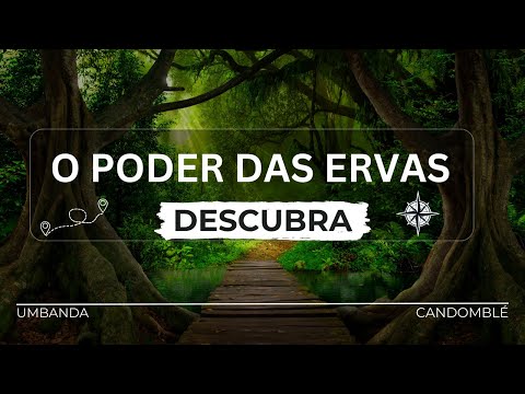O PODER SAGRADO DAS PLANTAS E ERVAS NA UMBANDA E NO CANDOMBLÉ: CONHECIMENTO ANCESTRAL REVELADO