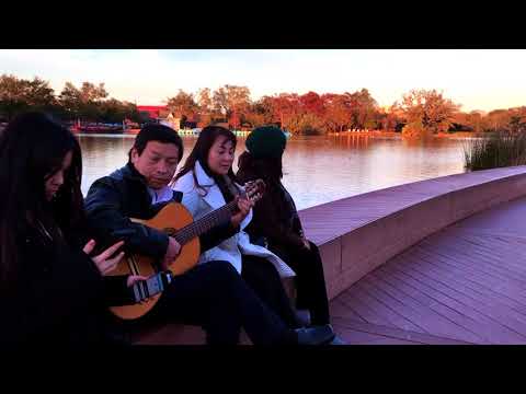 Tombe La Neige - Salvatore Adamo (Guitar Cover)