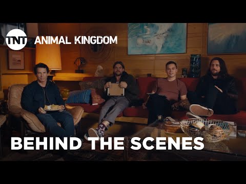 afbeelding Animal Kingdom: Trivia With the Boys | TNT