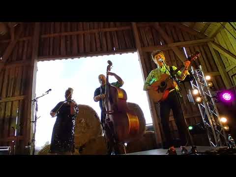 Curly Strings – Poissmees (Live @ KYYN 07.06.2025)