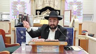 הרב מיכאל רביע | יו"ט שני של גלויות בשבת בארץ | יזדים | תשפ"ו