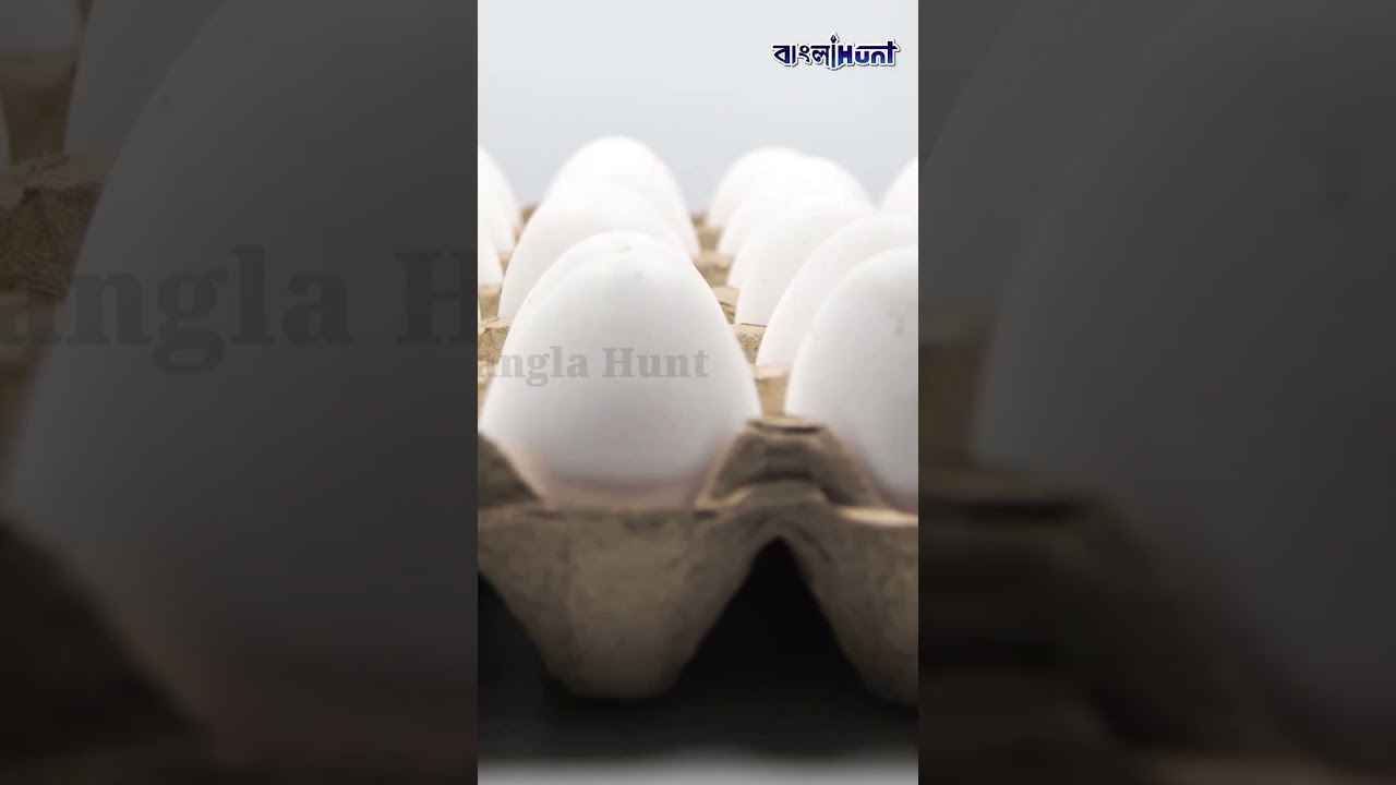 এক সপ্তাহে বৃদ্ধি ২০ টাকা, এক পিস ডিমের দাম কত বাড়ল কলকাতায়? হটাৎ করে কেনো এতো বাড়ছে ডিমের দাম?