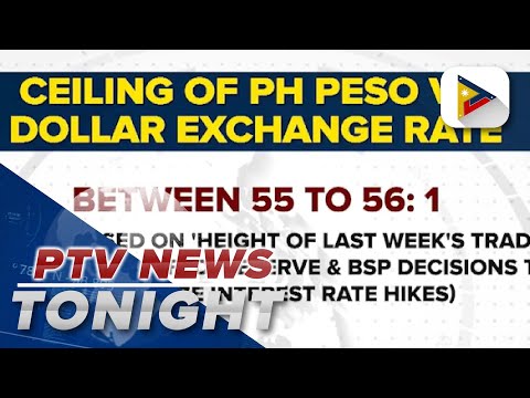 Economist sees peso stabilizing at 55-56 vs U.S. dollar