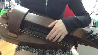 Omnos - Eluveitie(Hurdy Gurdy cover)