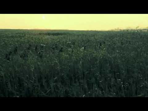 The Eight Hundred - Exclusive Clip