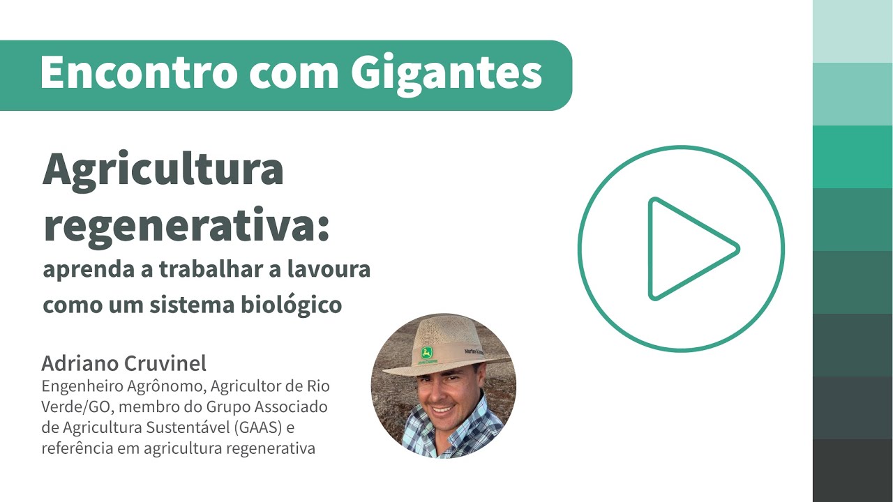 Agricultura regenerativa: aprenda a trabalhar a lavoura como um sistema biológico