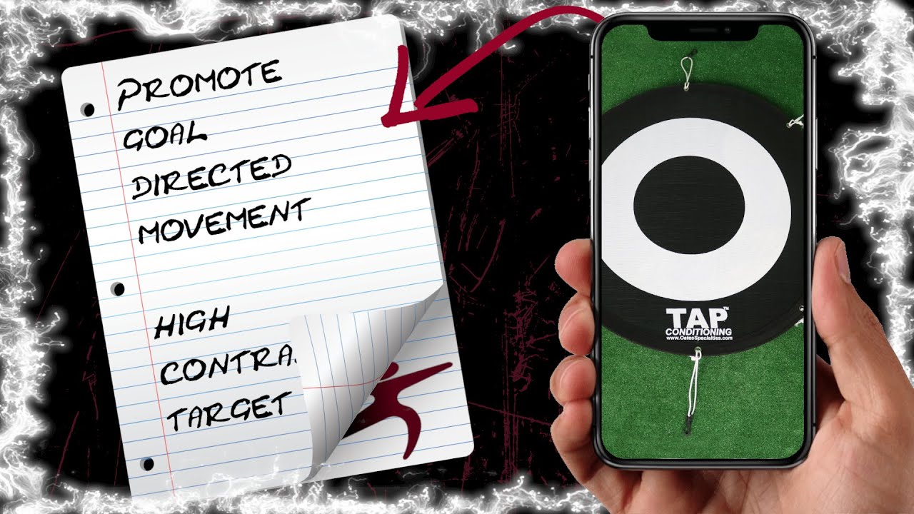 TAP™ Batting Target — Promote Goal-Directed Movement with High-Contrast Target