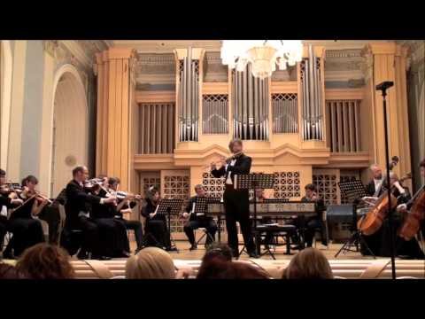 S. Mercadante - Flute Concerto in E Minor