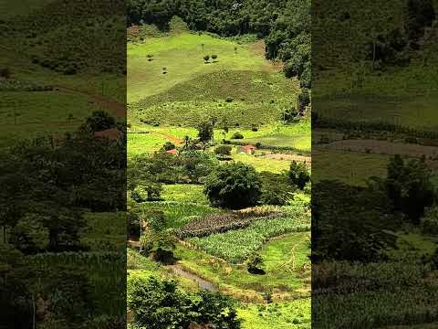 Contenda, município de São José do jacuri, Minas gerais