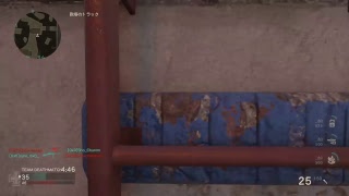 []Call of duty WW2 マルチプレ～イ 気まぐれlive気まぐれキル♪ #68