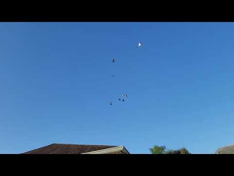 First tippler flight of the year for 2021 @ The Red Eye Loft.