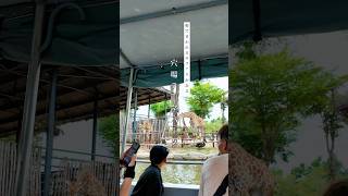 ダナン・ホイアン子連れ旅必見👀🇻🇳Bana Hillsに行く前に知ってほしい!世界でも珍しい「船のサファリ」が楽しめる穴場テーマパーク🦒✨
