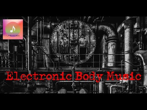 Electronic Body Music/EBM/Dark/Industrial.