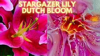 Whimsical Abstract Star Gazer Lily Dutch Bloom |Pour Painting|